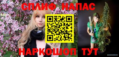 стафф Донской