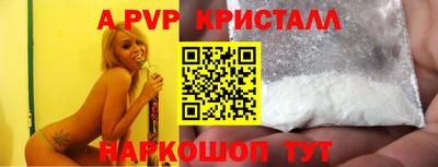 стафф Донской